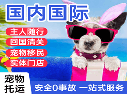 新郑航空货运国际宠物托运 【国